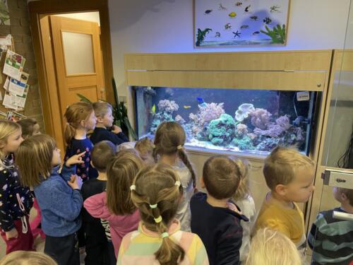 0CAF56D9-785A-41ED-8A44-264BE63DB308