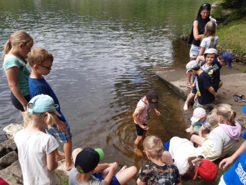 0d6bd56f-7c6e-4d38-8658-782efc420246