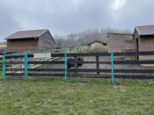 1ED562B3-CF21-4D3F-8D67-EE388896D9AF