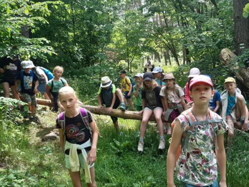 1caf58e7-d70d-4a0f-b20d-660818329564