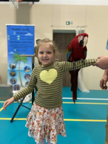 2B9D1D7B-4D90-42C1-A1FC-CA13945B5903