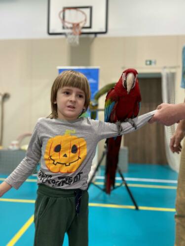 2D439EB4-9B70-4E1F-A677-ED18BA48525C