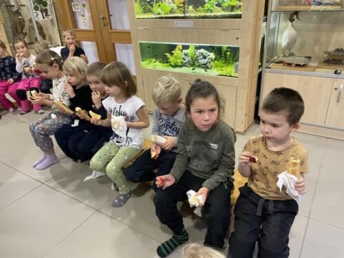 4C48B883-D05F-48D7-BA69-6F30B1FCDC6D