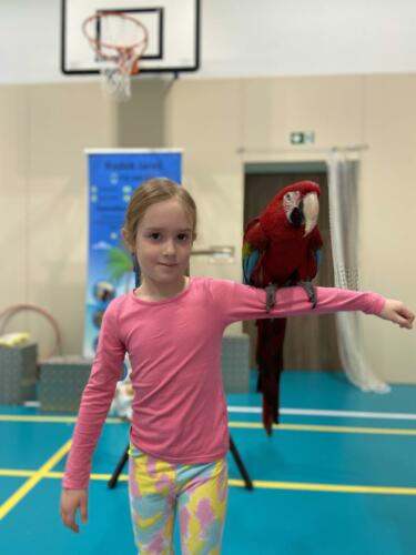 4DC5E54E-4980-4A8D-888A-BAB329CEC326