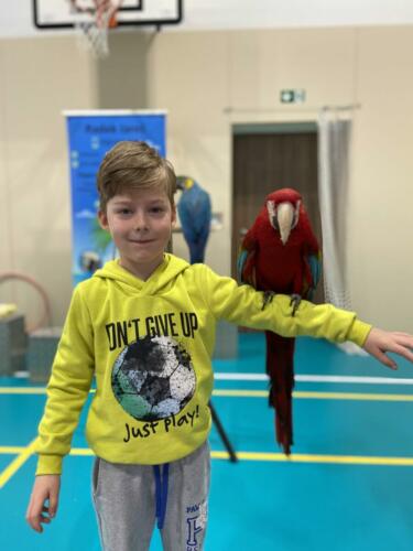 5AB59553-D3D4-4EEA-A090-E19A512658B5