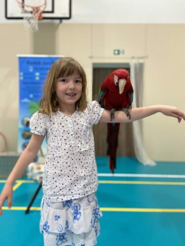 5EEA24E4-48A9-4988-980D-35CB1333F8F6