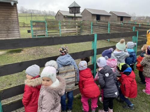 6421BE3A-8345-4C4C-84F2-97D5C664B9F8