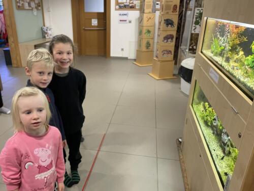 6E7DAC4E-CCF5-4258-9DBB-9B7FDF330726