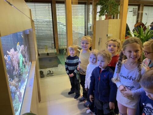 7C8E1D98-AA3E-40C4-BD3D-7CD701D57813