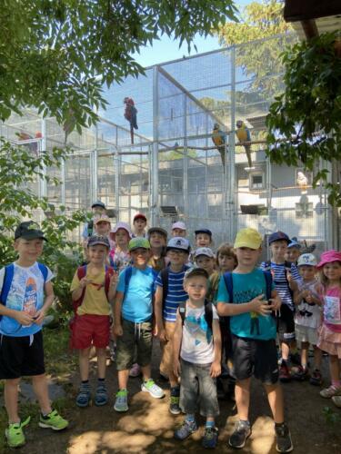 MŠ Družec: Výlet do Zooparku Olovnice - červen 2022