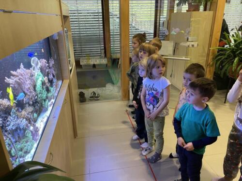 9F2F6840-2467-4E41-A779-6145F33BC800