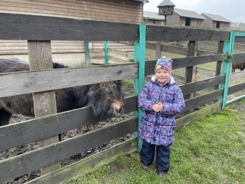 B79ED28D-4367-44F1-930F-90CBF0CD7AF2