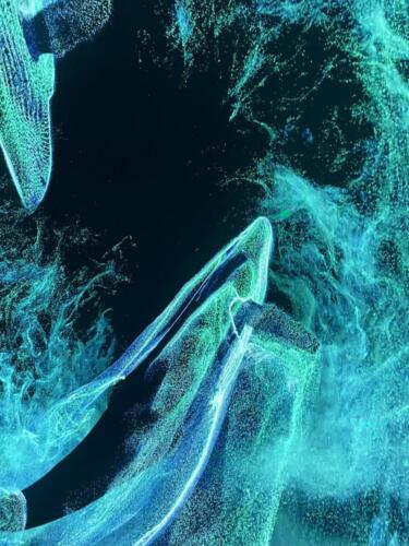 444444444444444444444444444