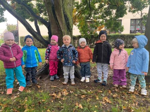 Obrázek WhatsApp, 2025-09-27 v 12.11.50 c69c464e