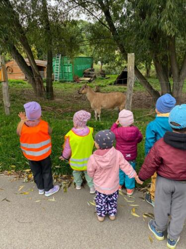 Obrázek WhatsApp, 2025-09-27 v 12.11.51 2be47800