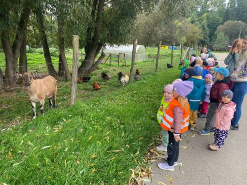 Obrázek WhatsApp, 2025-09-27 v 12.11.51 b3ed727b