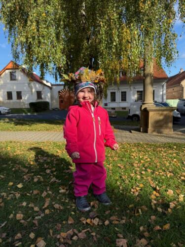 Obrázek WhatsApp, 2025-10-16 v 13.42.23 ca9e2fc6