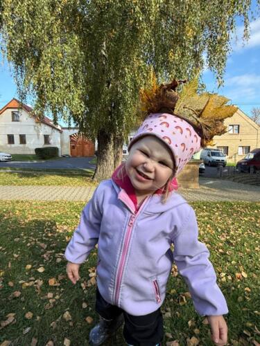 Obrázek WhatsApp, 2025-10-16 v 13.42.24 57bf44ff