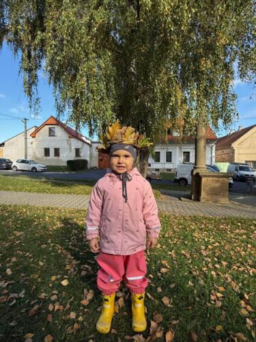 Obrázek WhatsApp, 2025-10-16 v 13.42.24 d9edad77