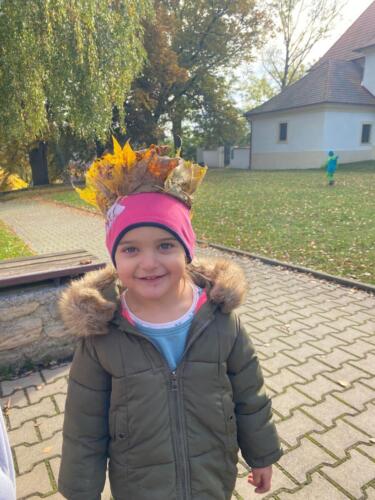 Obrázek WhatsApp, 2025-10-17 v 15.02.48 97838abc