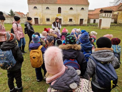 WhatsApp Image 2025-12-18 at 11.50.56