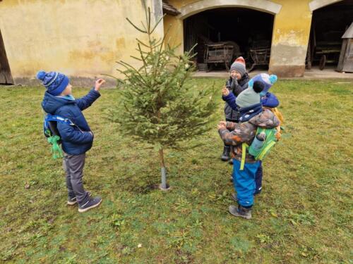 WhatsApp Image 2025-12-18 at 11.51.00