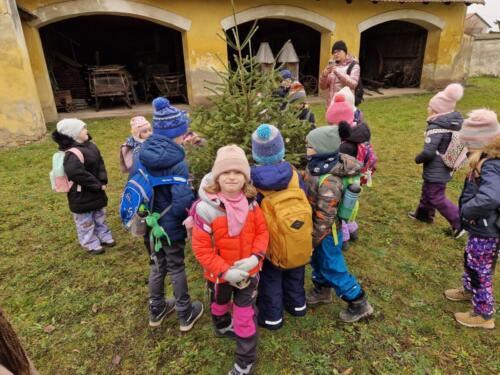 WhatsApp Image 2025-12-18 at 11.51.00 (1)