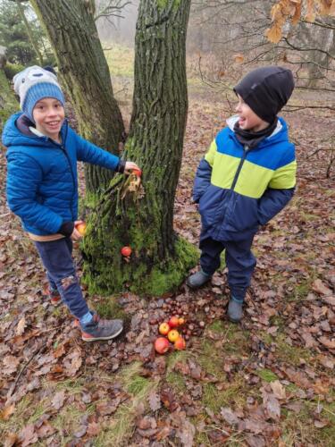 WhatsApp Image 2025-12-18 at 11.51.35 (1)