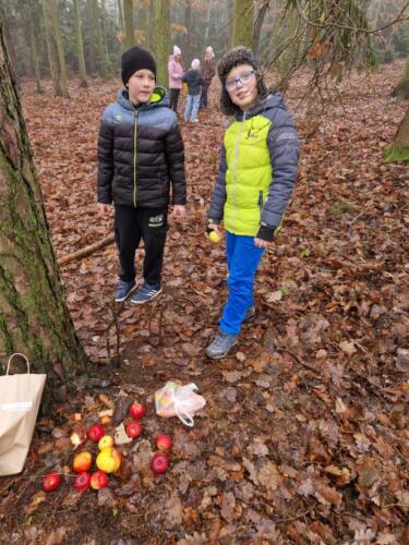 WhatsApp Image 2025-12-18 at 11.51.41