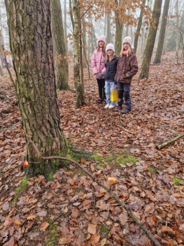 WhatsApp Image 2025-12-18 at 11.51.41 (3)