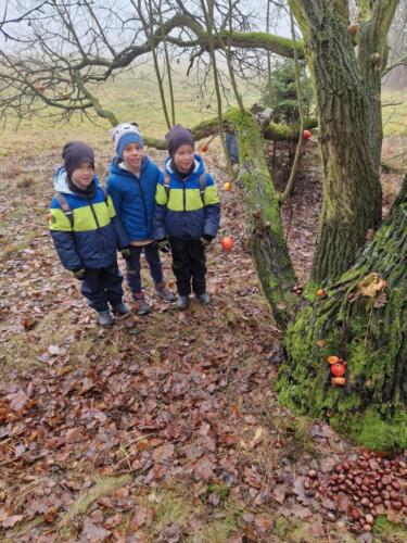 WhatsApp Image 2025-12-18 at 11.51.42