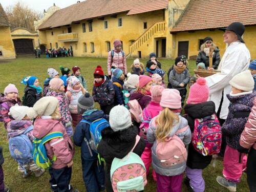 WhatsApp Image 2025-12-19 at 17.38.22