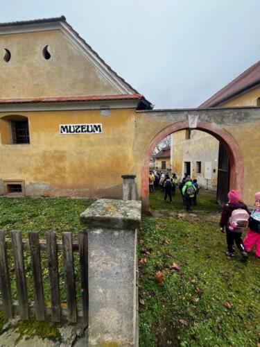 WhatsApp Image 2026-01-02 at 11.09.21