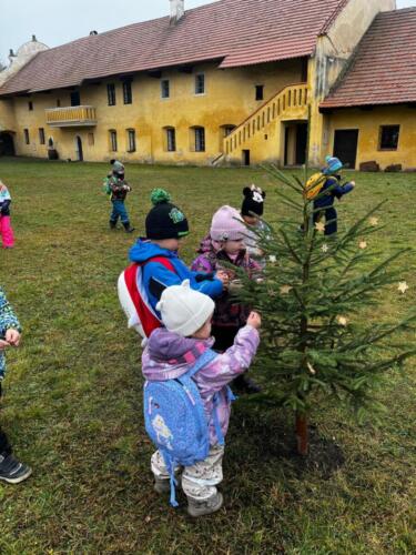 WhatsApp Image 2026-01-02 at 11.09.22 (12)