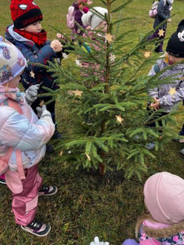 WhatsApp Image 2026-01-02 at 11.09.22 (15)