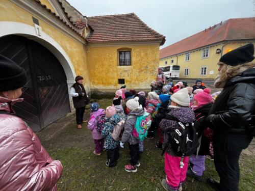 WhatsApp Image 2026-01-02 at 11.09.22 (2)