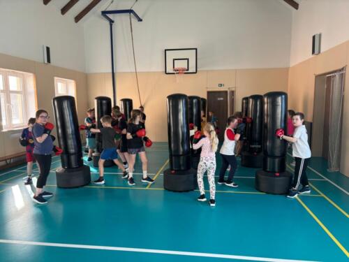 WhatsApp Image 2026-02-26 at 18.27.57 (1)