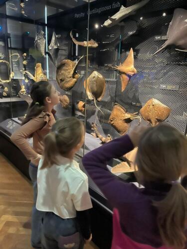 WhatsApp Image 2026-03-01 at 21.01.36