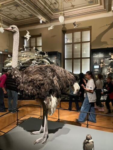 WhatsApp Image 2026-03-01 at 21.01.37