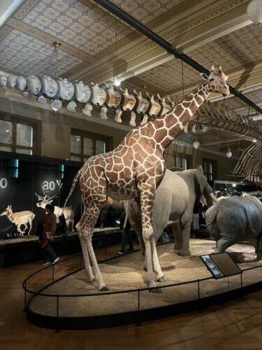 WhatsApp Image 2026-03-01 at 21.01.37 (1)