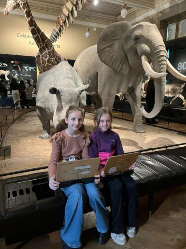 WhatsApp Image 2026-03-01 at 21.01.37 (2)