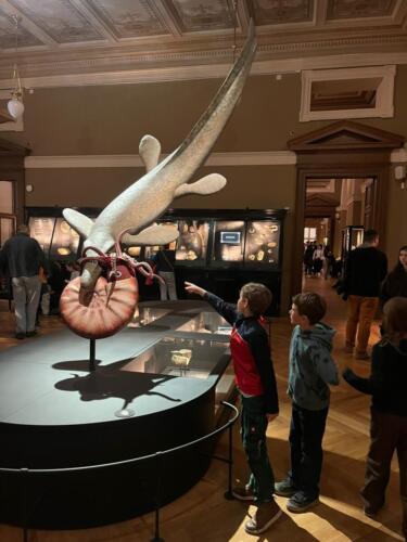 WhatsApp Image 2026-03-01 at 21.01.37 (3)