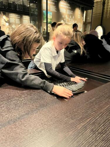 WhatsApp Image 2026-03-01 at 21.01.39