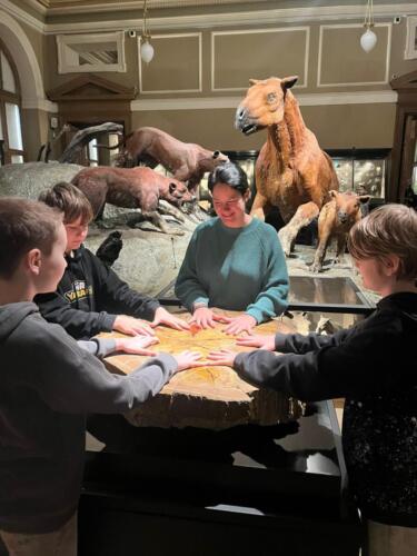 WhatsApp Image 2026-03-01 at 21.01.39 (1)