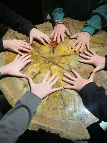 WhatsApp Image 2026-03-01 at 21.01.39 (2)