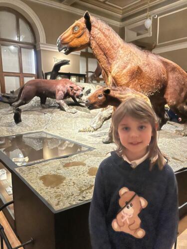 WhatsApp Image 2026-03-01 at 21.01.39 (3)