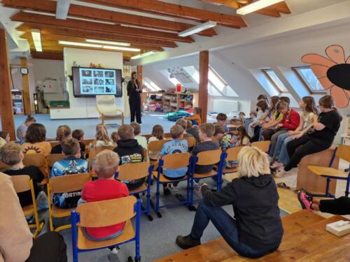 WhatsApp Image 2026-03-28 at 20.50.33 (5)