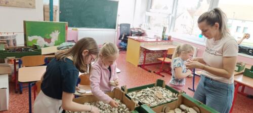 WhatsApp Image 2026-04-01 at 09.28.58