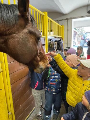 WhatsApp Image 2026-04-10 at 07.21.47 (1)